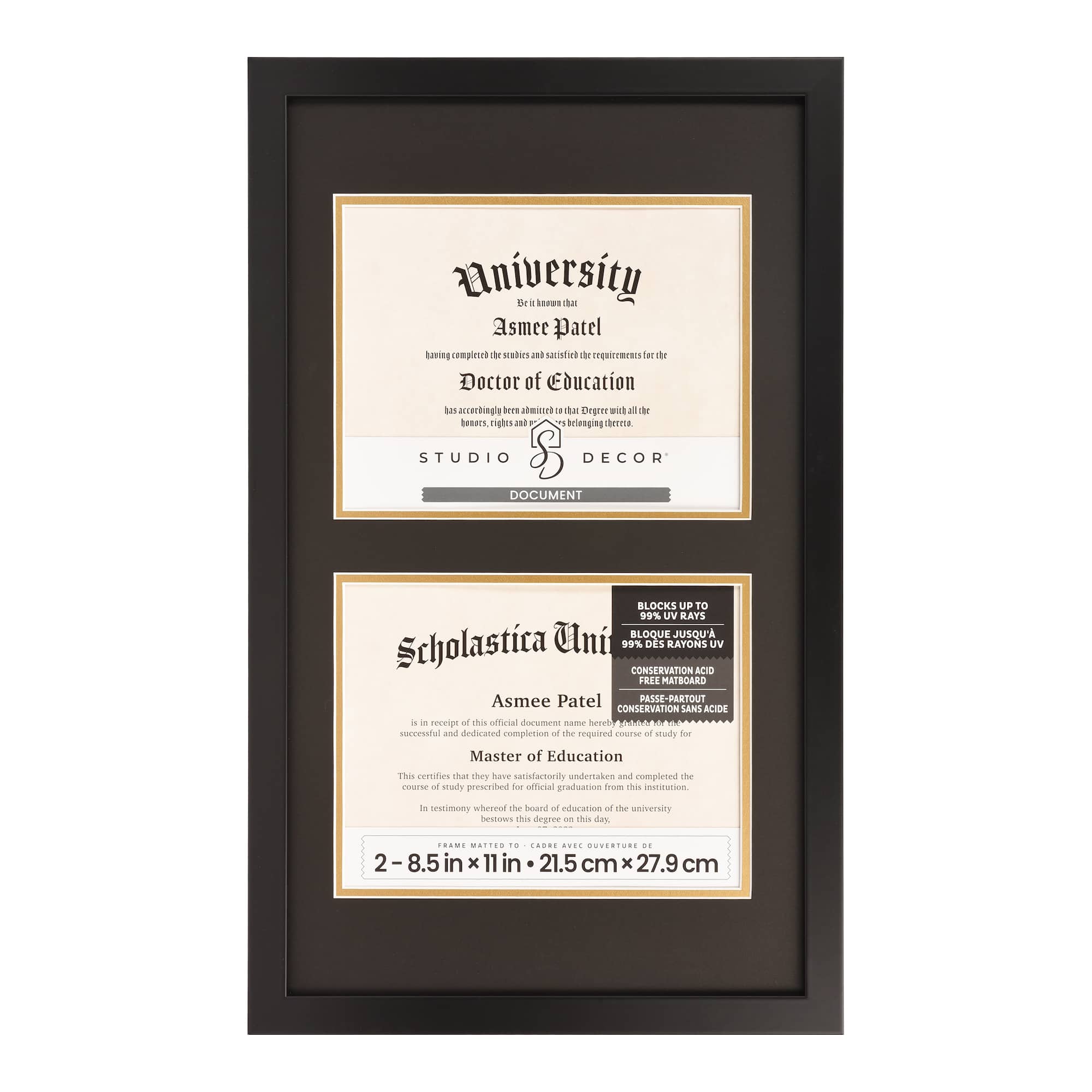 2 Opening 8.5" x 11" Black Document Frame with Double Mat by Studio Décor®